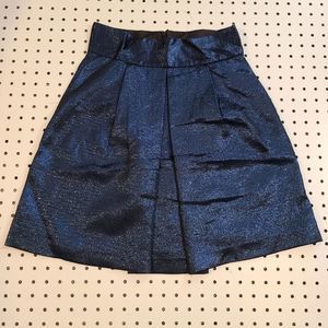 Zara Basic Skirt, Size S